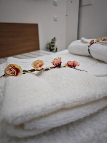 Beiboot - carbon neutral hotel in Unknown City