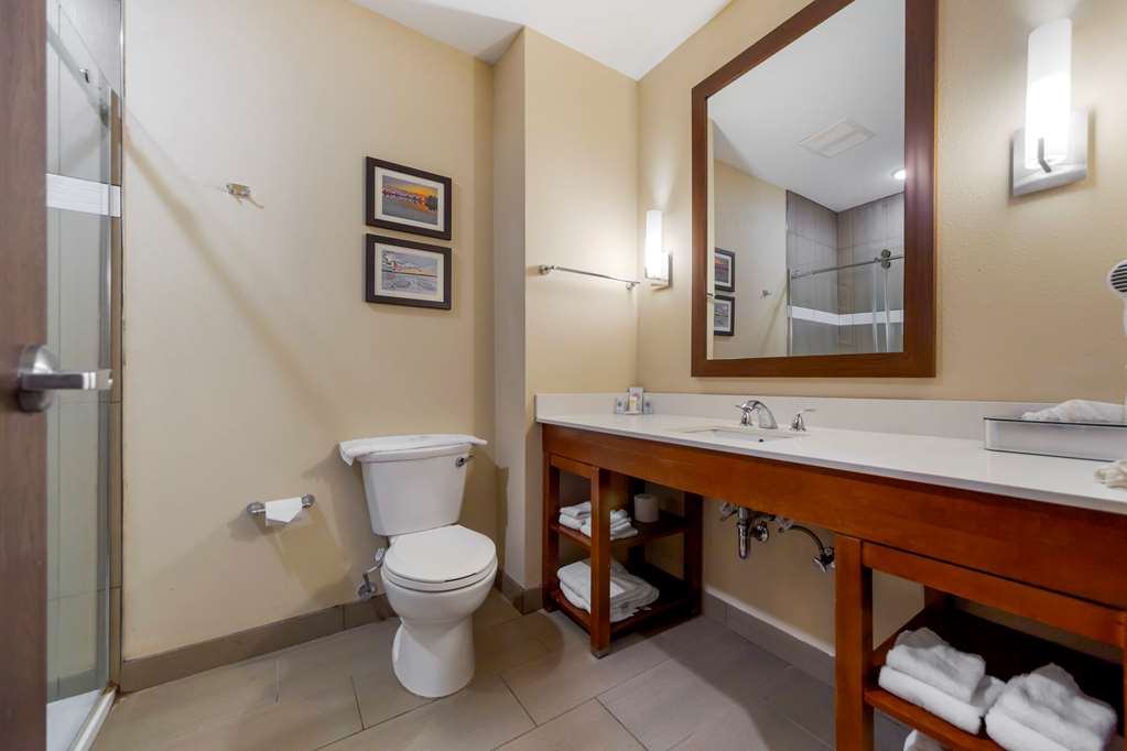 Comfort Suites La Vista Omaha - photo 19