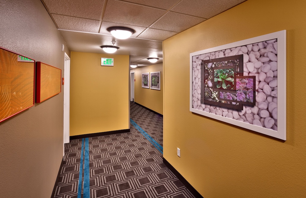 Towneplace Suites by Marriott Sierra Vista - photo 32