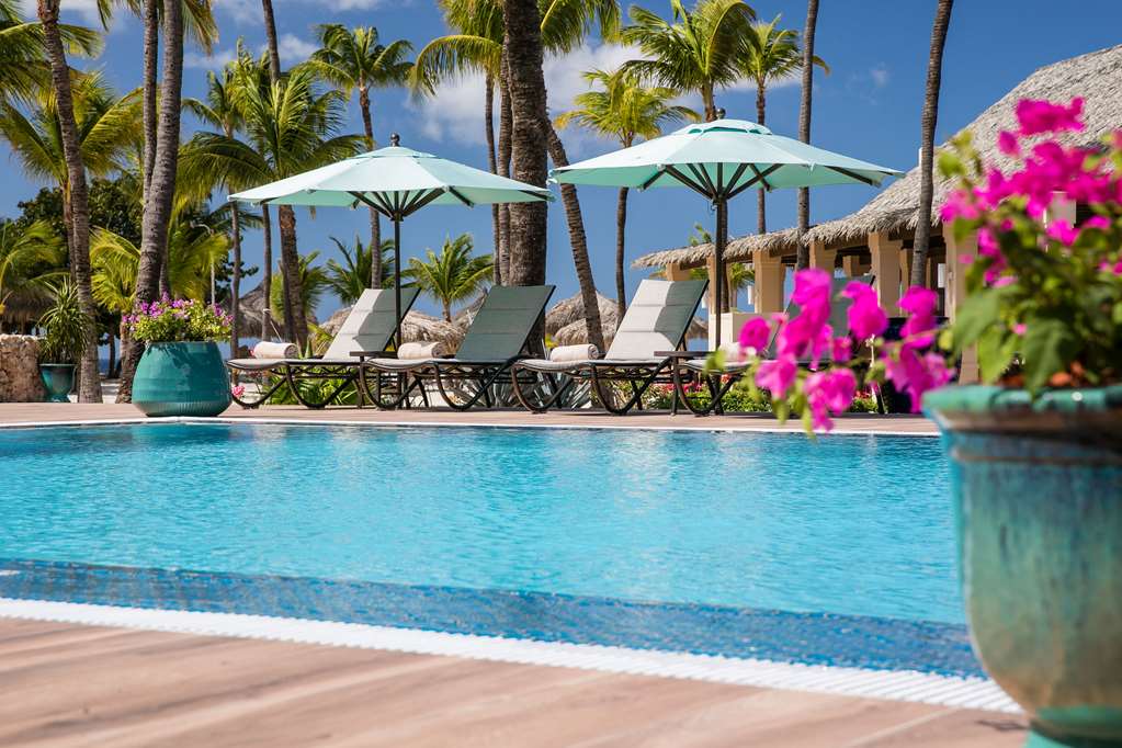 Manchebo Beach Resort and Spa — Oranjestad — photo 5
