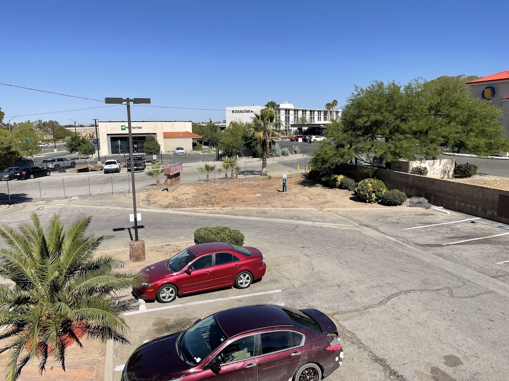 Palms Inn & Suites - photo 35