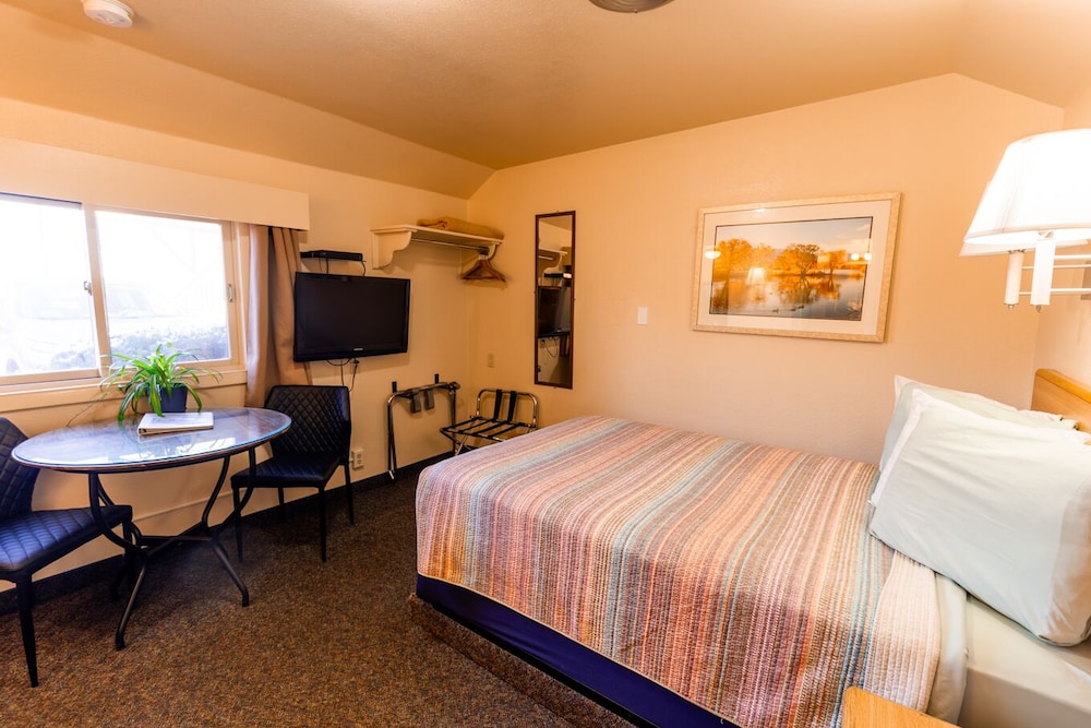 Woodland Motel - photo 35