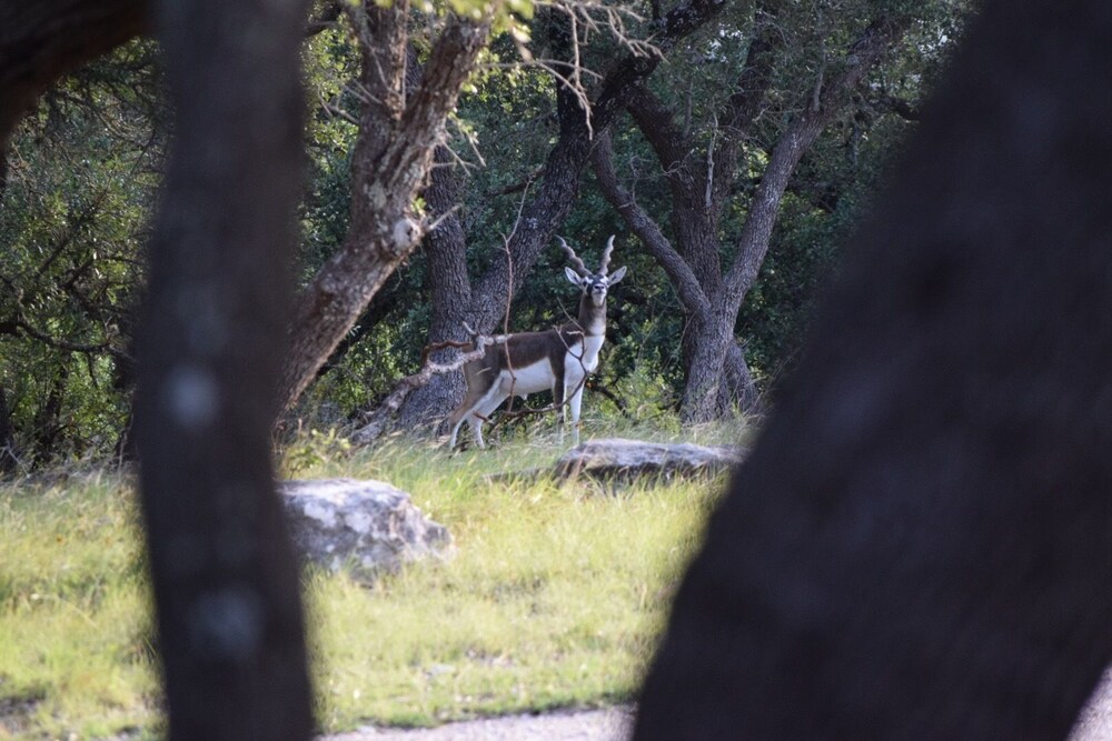 Glory Hills Ranch - photo 18