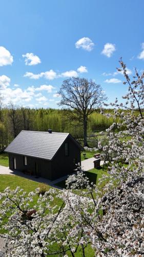 Brīvdienu māja & pirts meža vidū Saraiķu Sanderi in Unknown City, Latvia