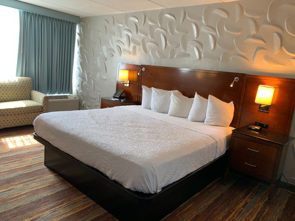 Albany Airport Inn - photo 8