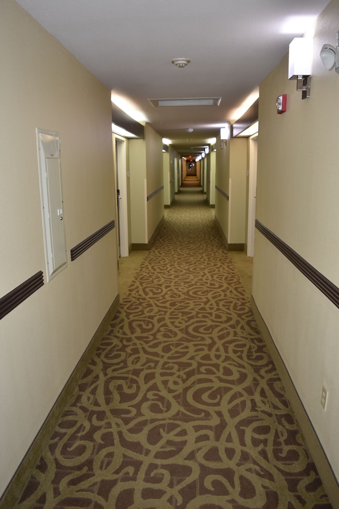 Baymont by Wyndham Dallas Love Field - photo 22