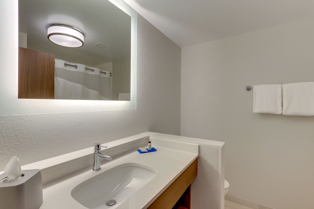 Holiday Inn Express & Suites Roanoke Civic Center by IHG - photo 36