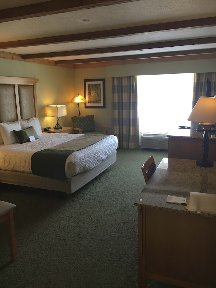 Best Western Premier Brian Head Hotel & Spa - photo 8