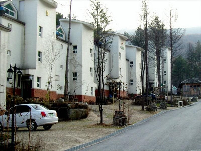 Apelsin Hotel — Nikolayevka