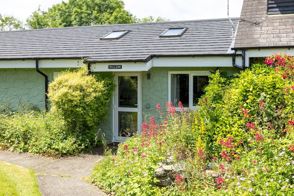 Willow at Gorslwyd Sound Retreat in Cardigan, United Kingdom