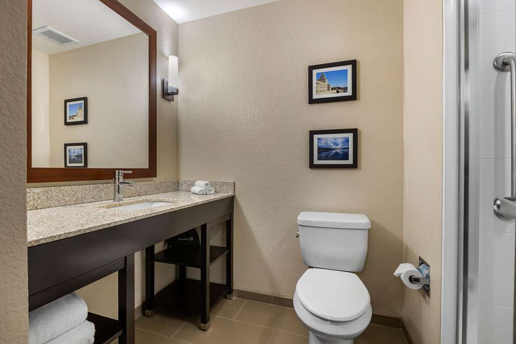 Comfort Inn & Suites Cedar Rapids CID Eastern Iowa Airport - photo 24