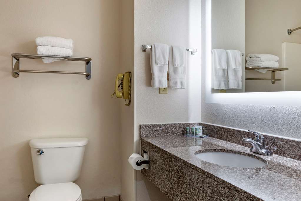 Best Western Palo Duro Canyon Inn & Suites - photo 15
