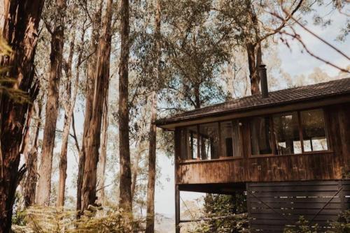 Forest Retreat - last minute hotel in Upwey