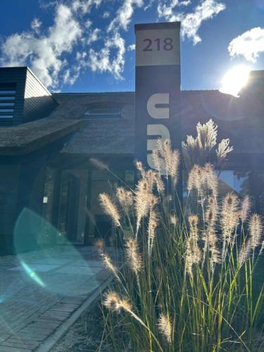 Sun in Unknown City, Netherlands