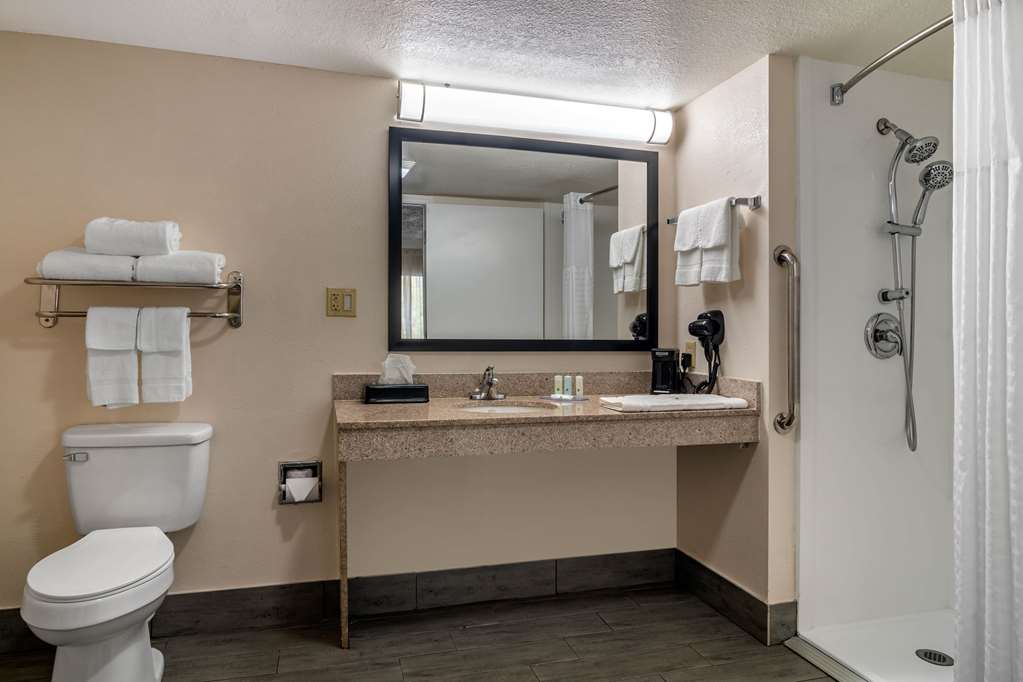 Quality Inn McDonough Atlanta South - photo 20