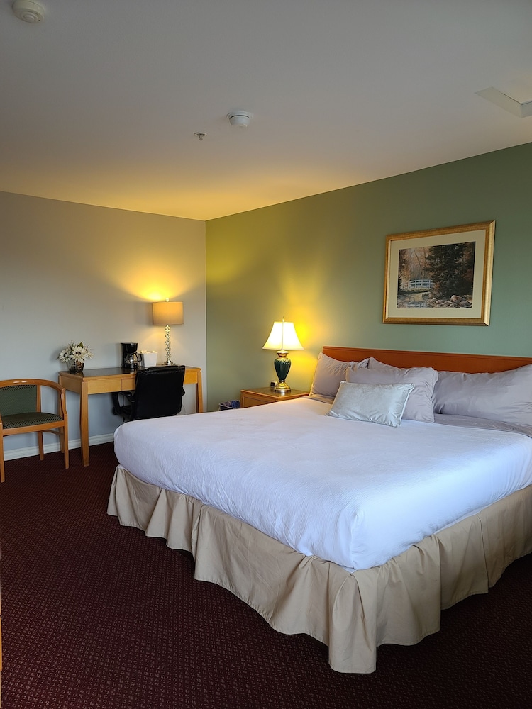 Tulip Inn - photo 15