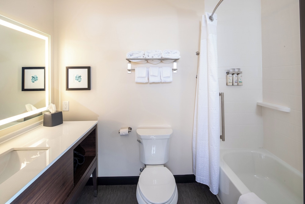 Holiday Inn & Suites Detroit Troy by IHG - photo 20