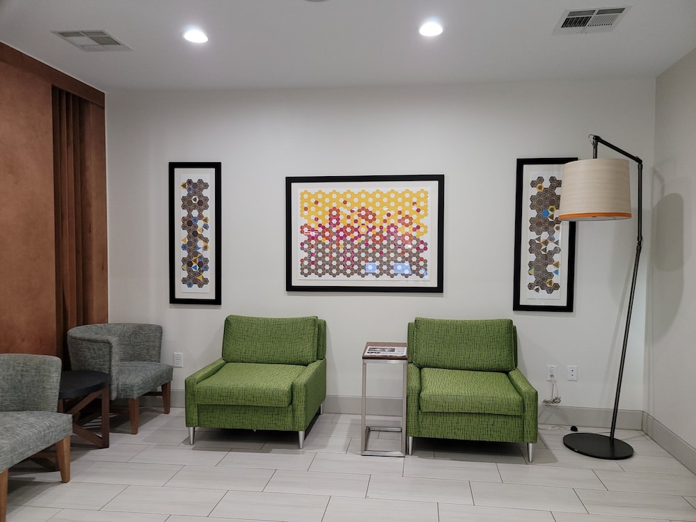Holiday Inn Express Hotel & Suites Vidor South - photo 50