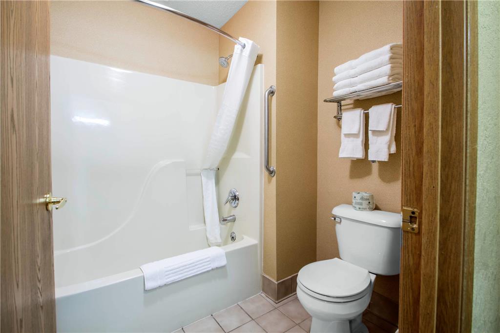 Comfort Suites Wisconsin Dells Area - photo 16