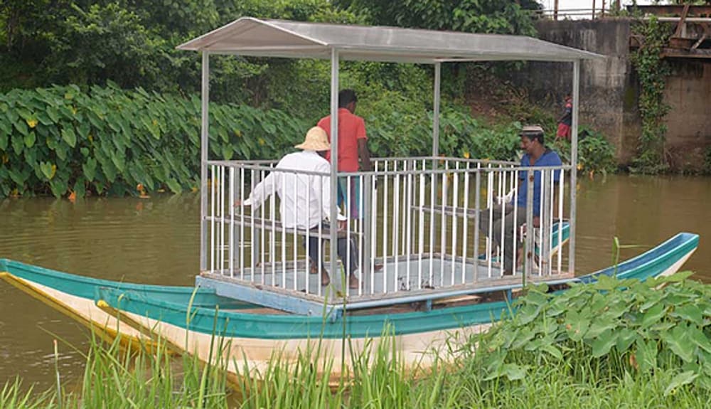 White Peacocks and Birds Resort in Homagama, Sri Lanka