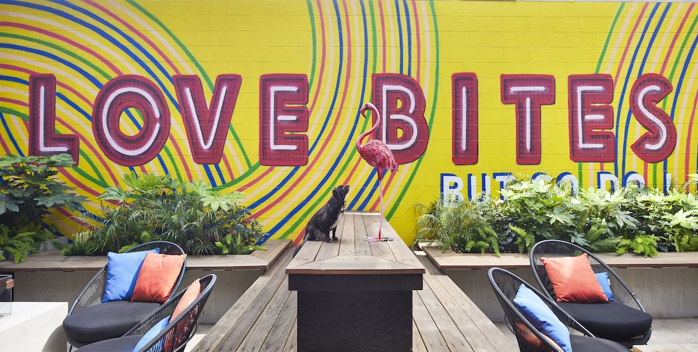 Moxy Austin University - photo 48