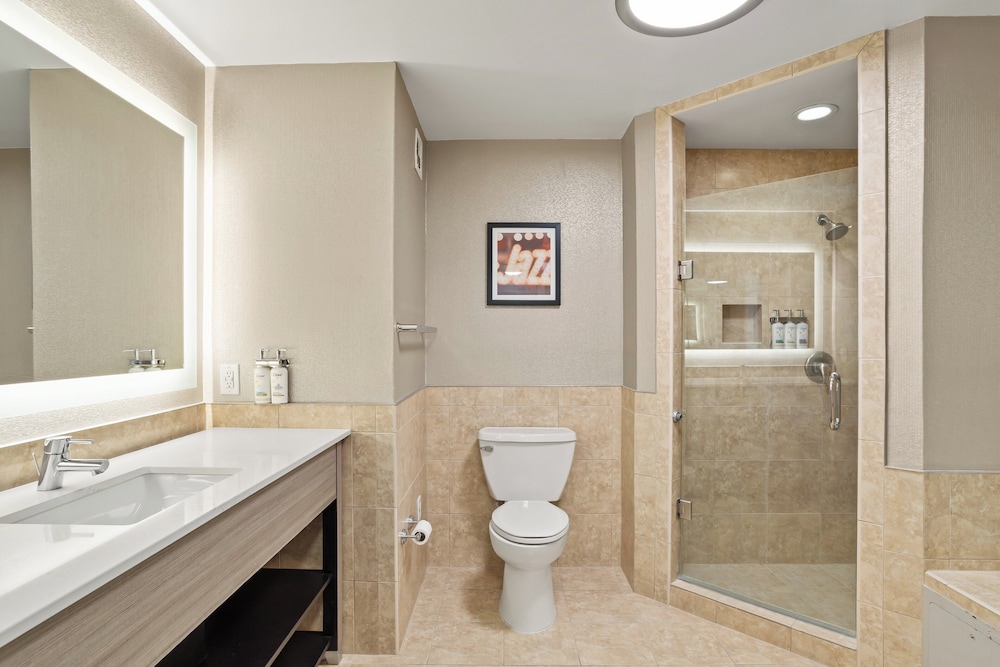 Holiday Inn Baton Rouge College Drive I 10 by IHG - photo 24