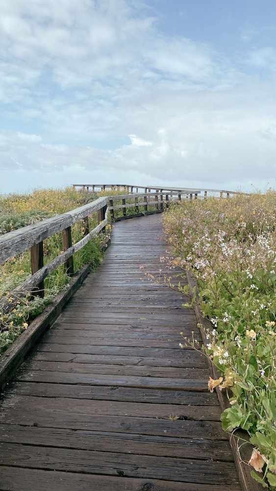 Oceanpoint Ranch - photo 76