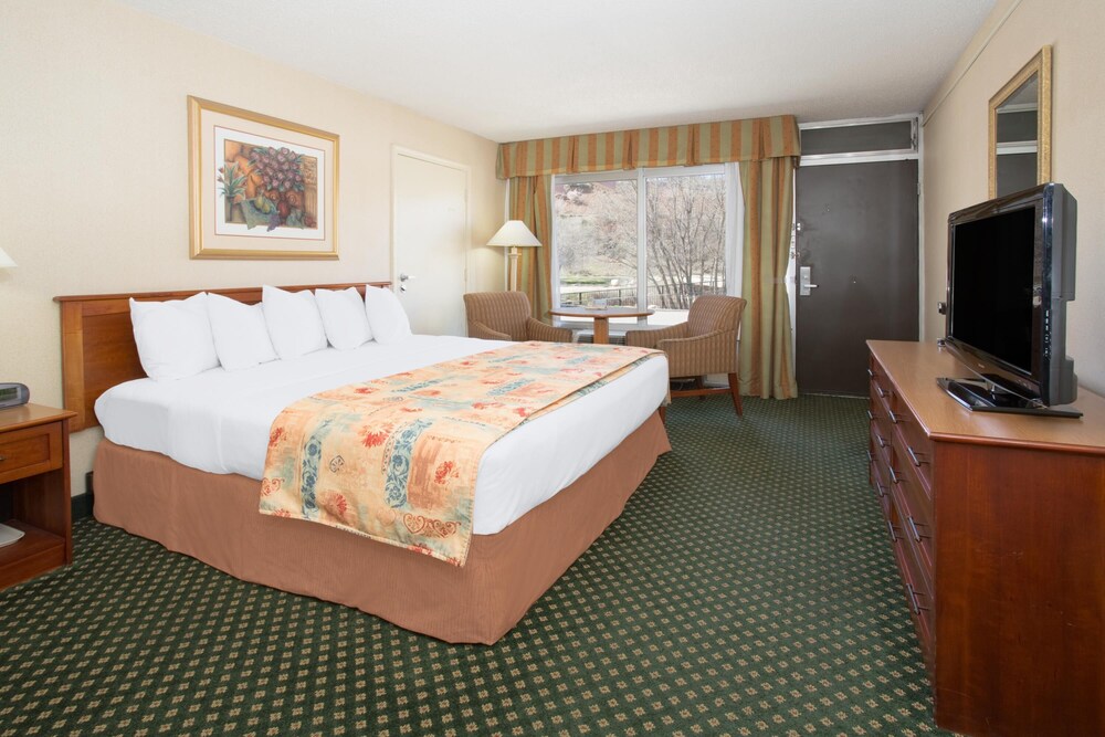 Durango Downtown Inn - photo 8