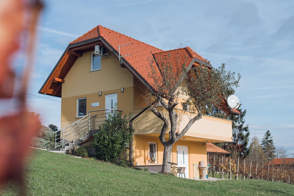 Apartments Vinska Trta — 4-Star Luxury Hotel in Brezice, Slovenia