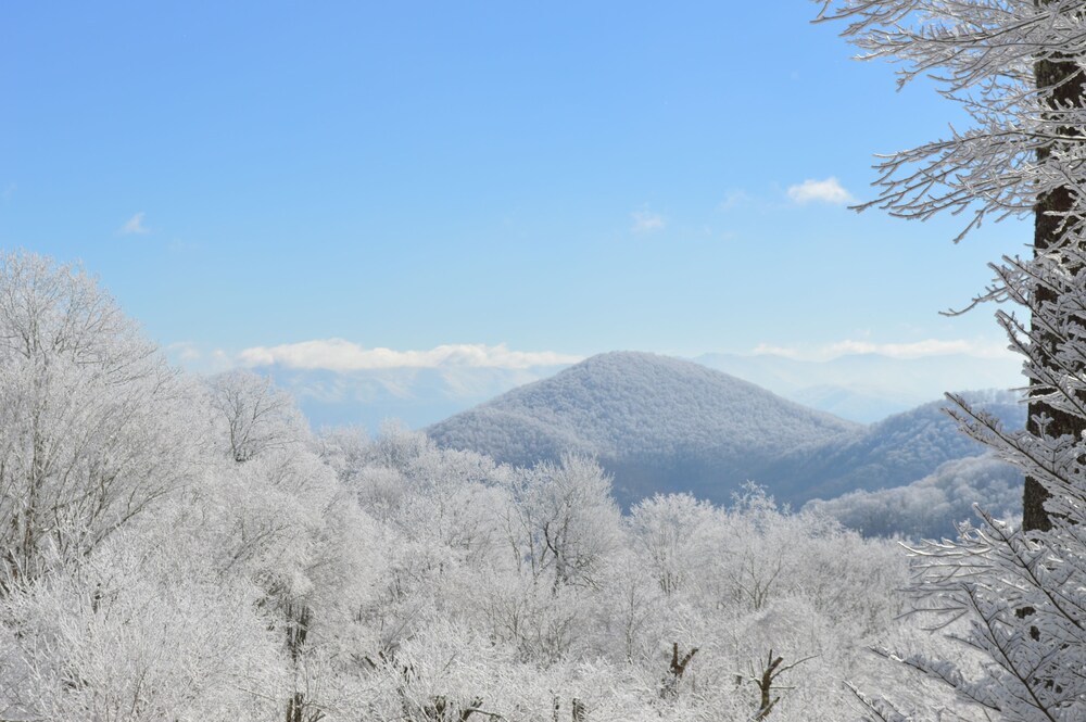 Bald Mountain House Inn at the Wolf Laurel Resort - photo 26