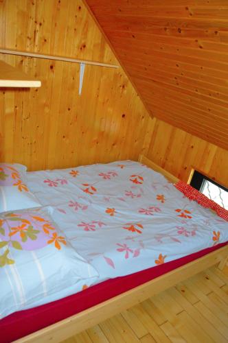 Brunarica Petric Bela krajina Komarna vas Smučišče Gače Semič in Ljubljana, Slovenia