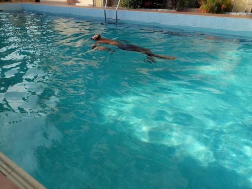 Fort Greene Hotel — hotel in Tema