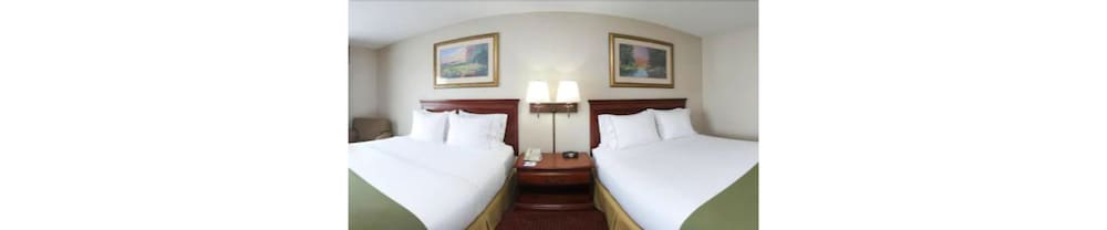 Holiday Inn Express Hotel & Suites Murphy by IHG - photo 13