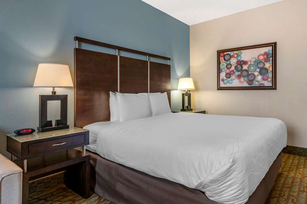 Best Western Plus Bradenton Gateway Hotel - photo 13