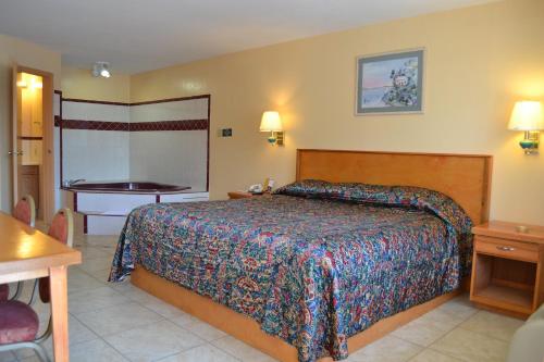 Deluxe Inn and Suites Weslaco - photo 22