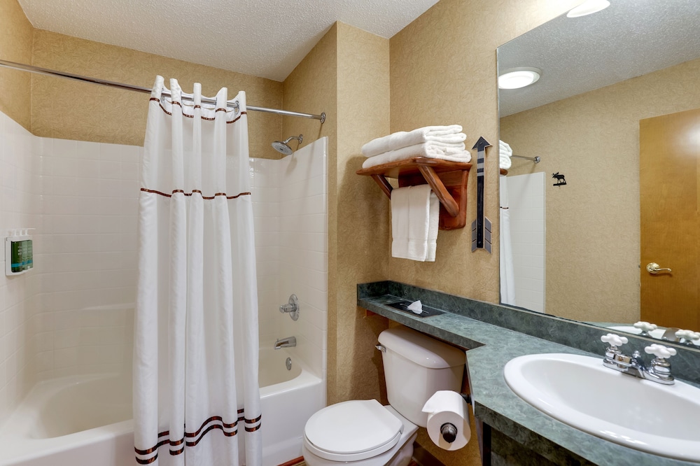 Stoney Creek Hotel Peoria - photo 28