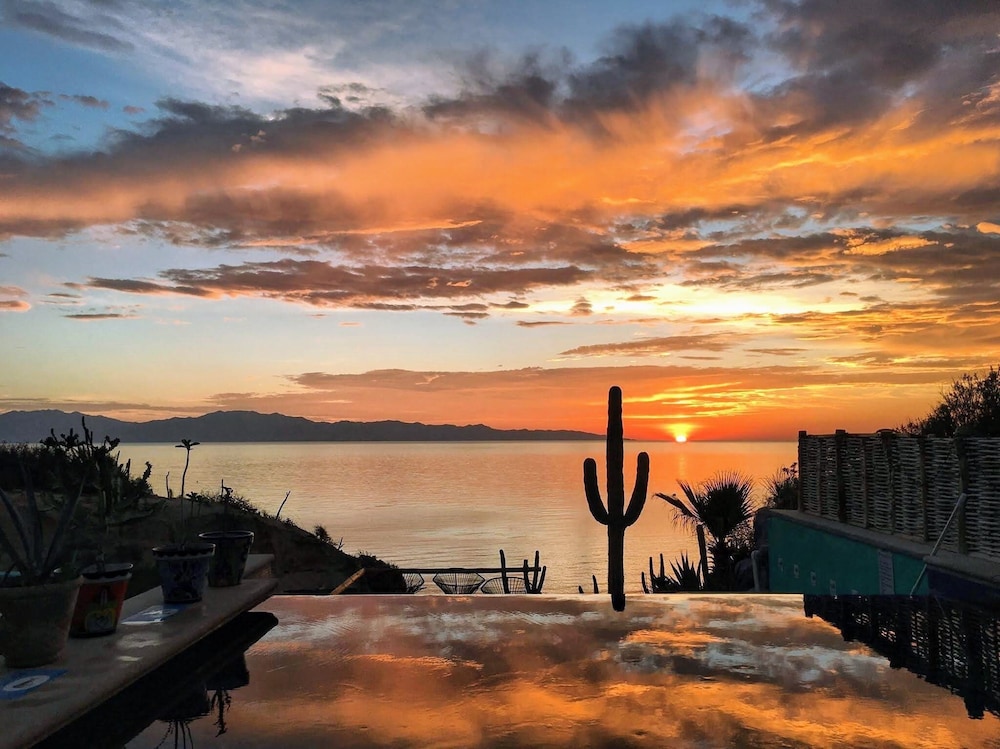 Palapas Ventana — La Paz — photo 2