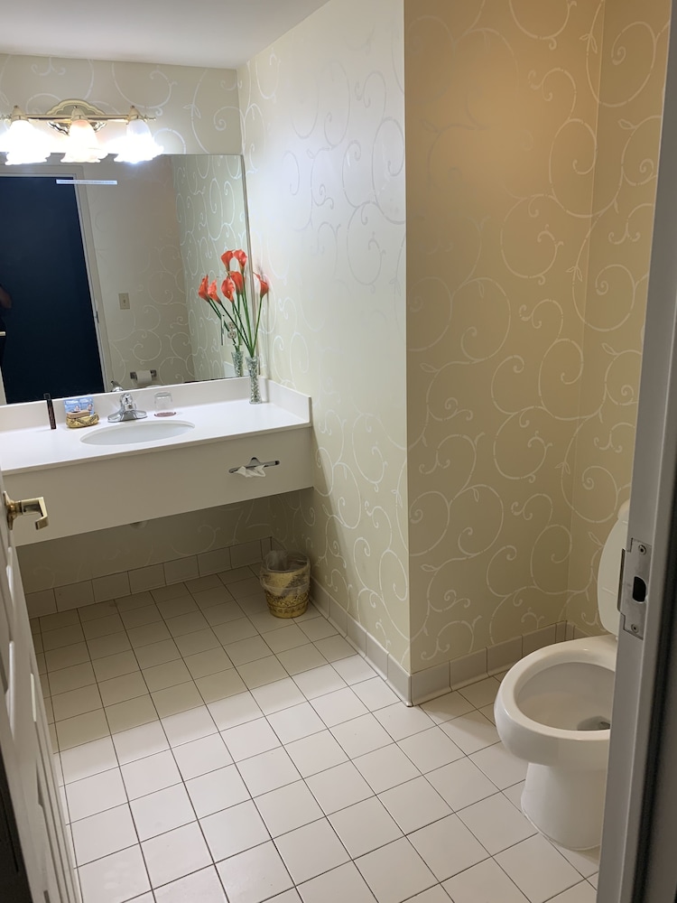French Quarter Inn - photo 31
