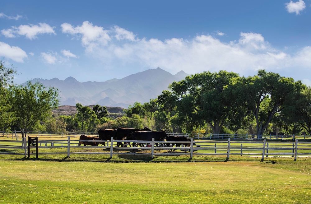 Tubac Golf Resort & Spa - photo 43