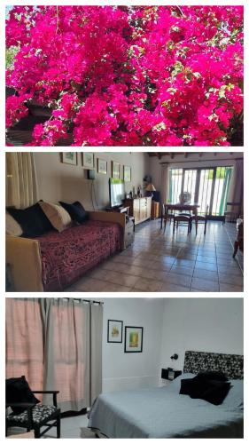 La casa de Chiqui — 4-Star Luxury Hotel in Mendoza, Argentina