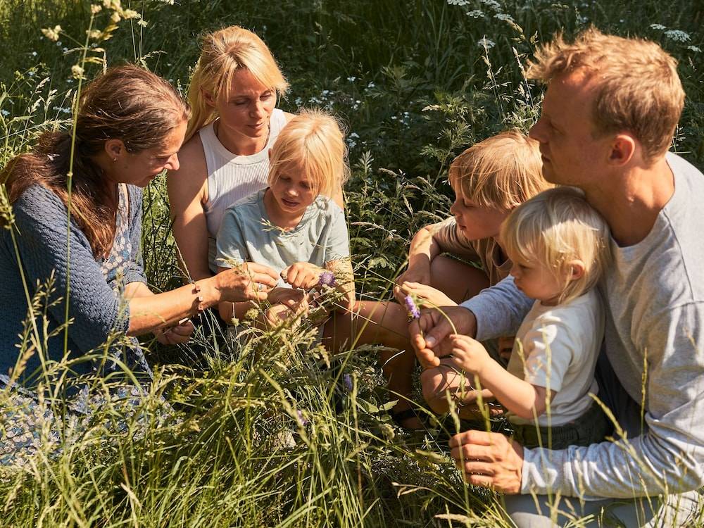 Children's activities