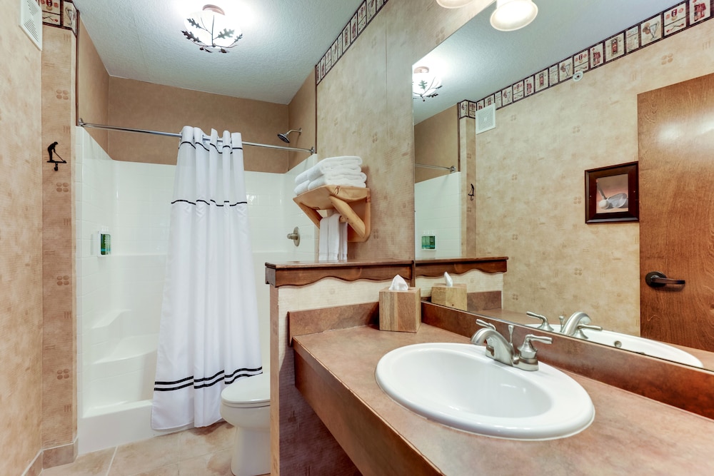 Stoney Creek Hotel Des Moines Johnston - photo 46