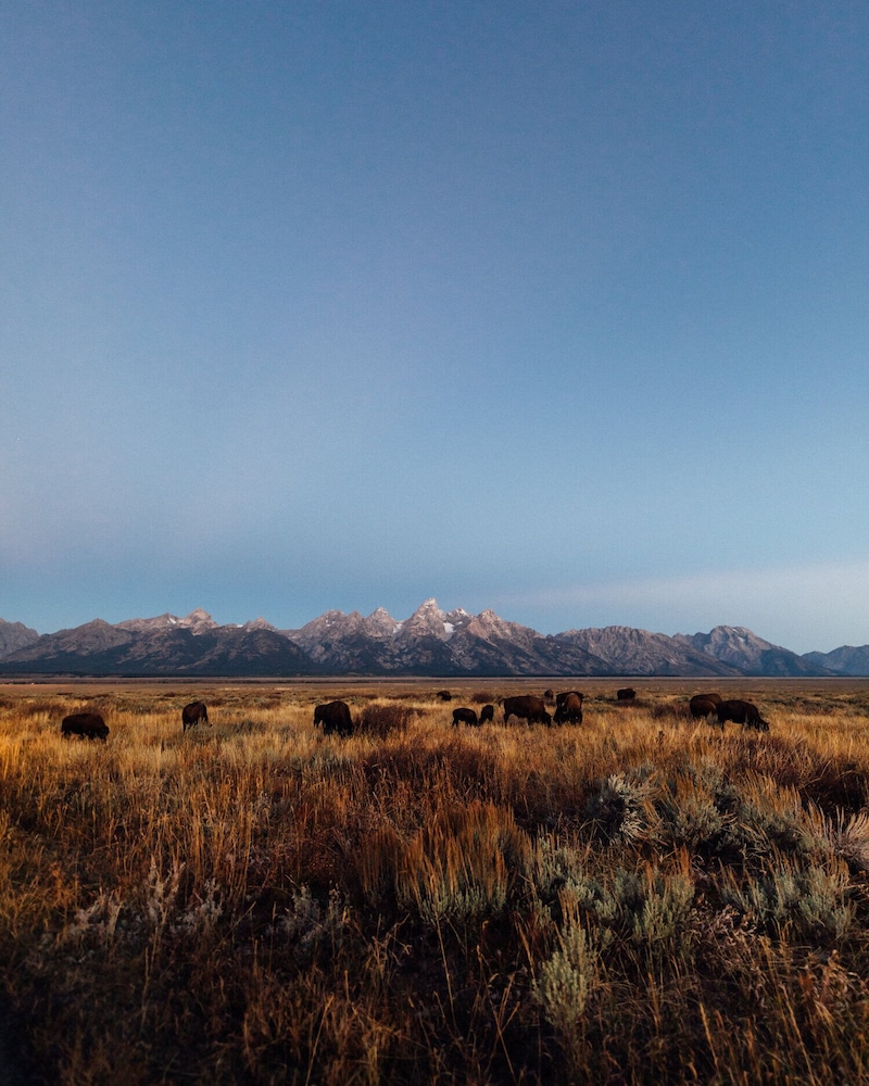 Teton Peaks Resort - photo 74