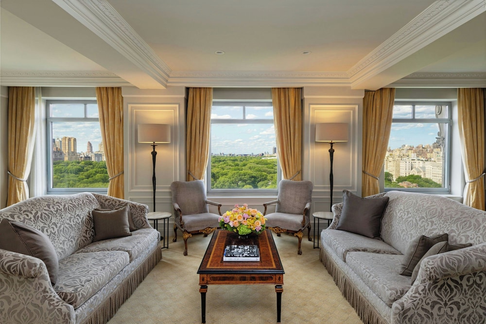 The Ritz Carlton New York Central Park - photo 47
