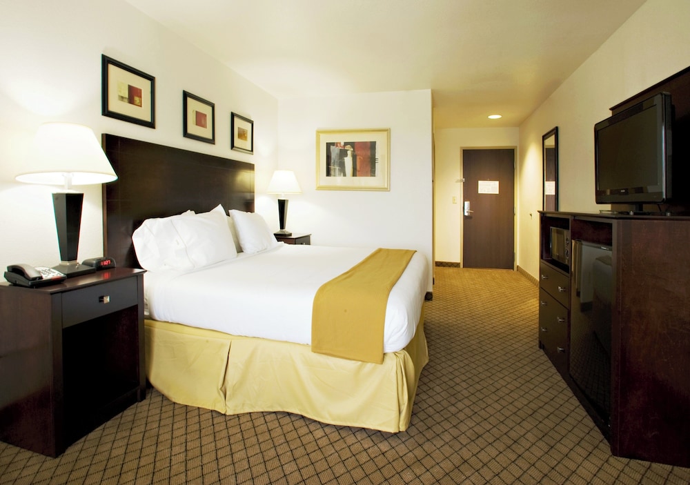 Holiday Inn Express & Suites Childress by IHG - photo 10