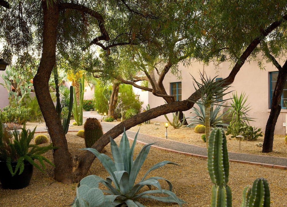 Lodge on the Desert - photo 89