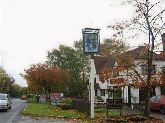 The Old Vine Inn — Wadhurst — photo 3