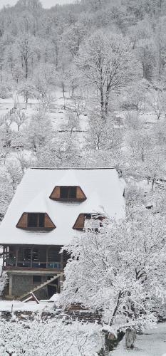 La Mona - carbon neutral hotel in Barsana