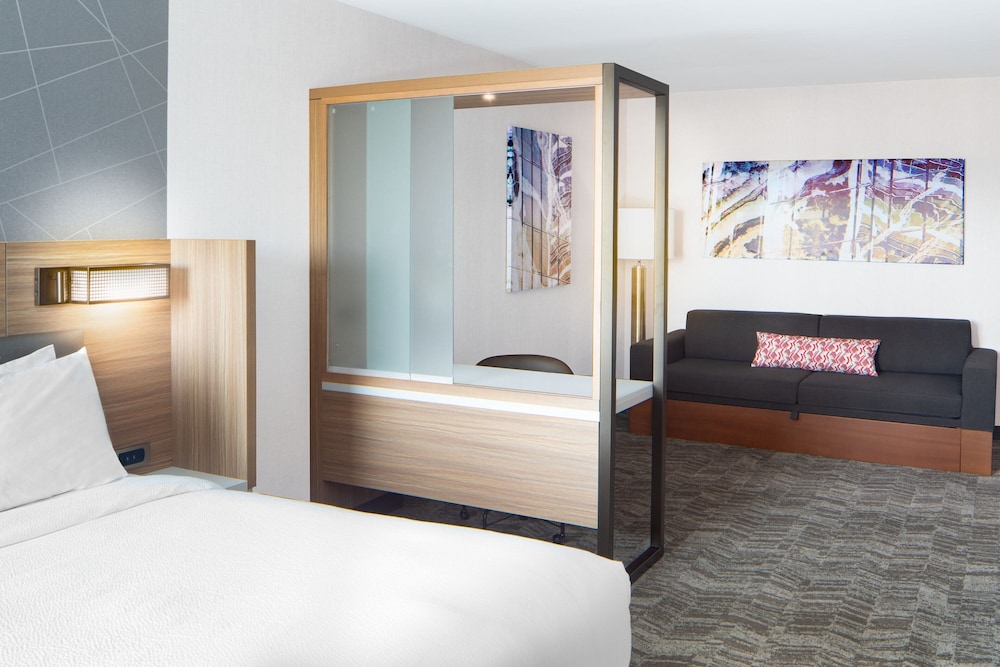 SpringHill Suites by Marriott Columbia near Fort Jackson - photo 10