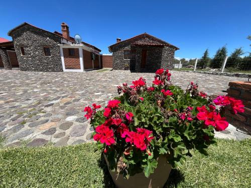 Cabañas El Pedregal — 5-Star Luxury Hotel in Huasca De Ocampo, Mexico